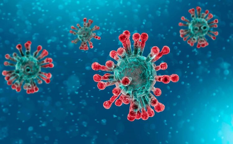 Coronavirus Stimulus Payments