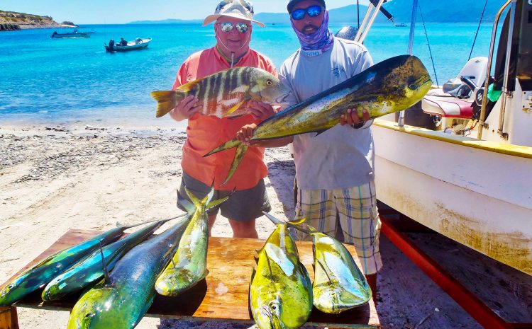 Fish Report