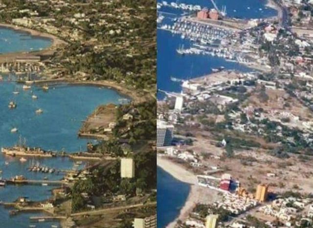 Thousands of New Trees for La Paz