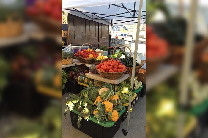 Organic Markets Return!