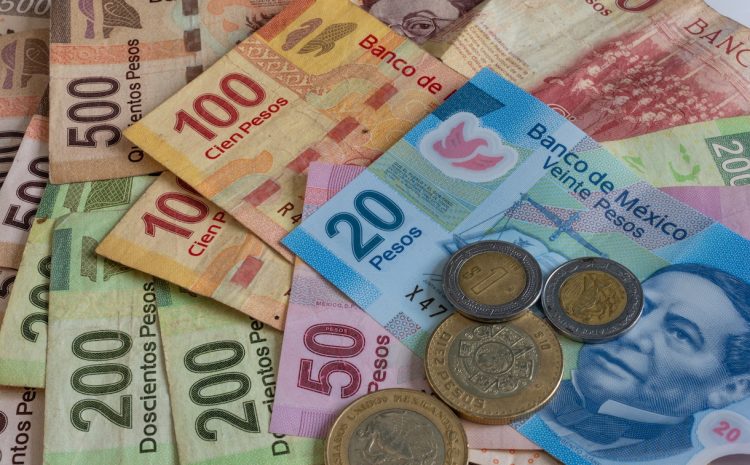 Mexico’s Minimum Wage Increase Debated