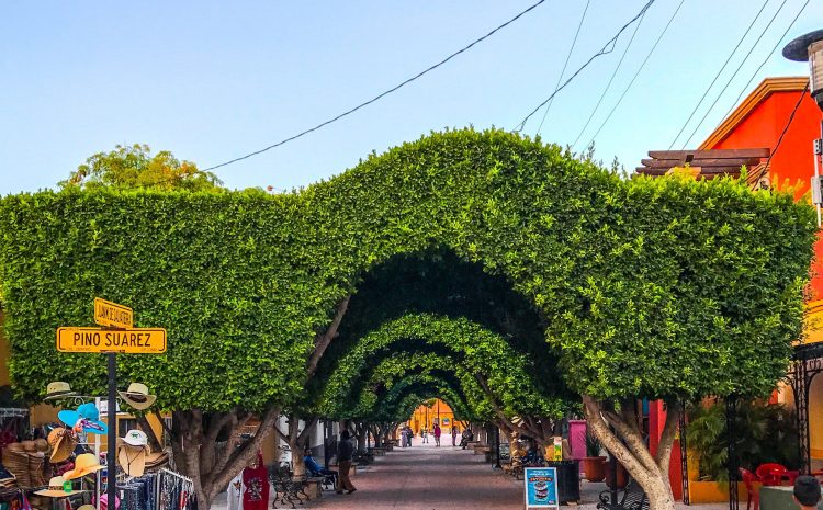 The Quaint Town of Loreto Gets a Bunch of New Flights