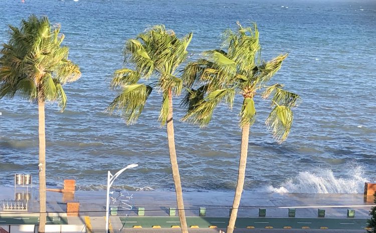 Southern Baja Returning to Normal