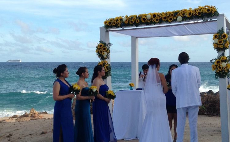Weddings and More Weddings!