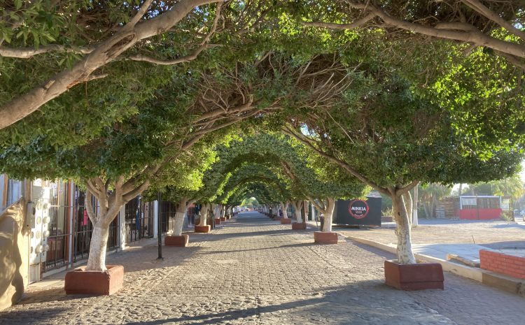 Small Towns are Becoming Trend