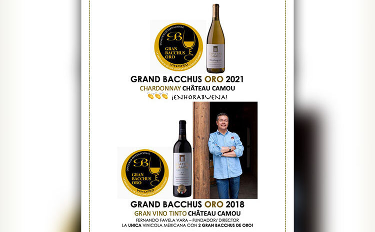 Mexican Wine Awarded in International Competition