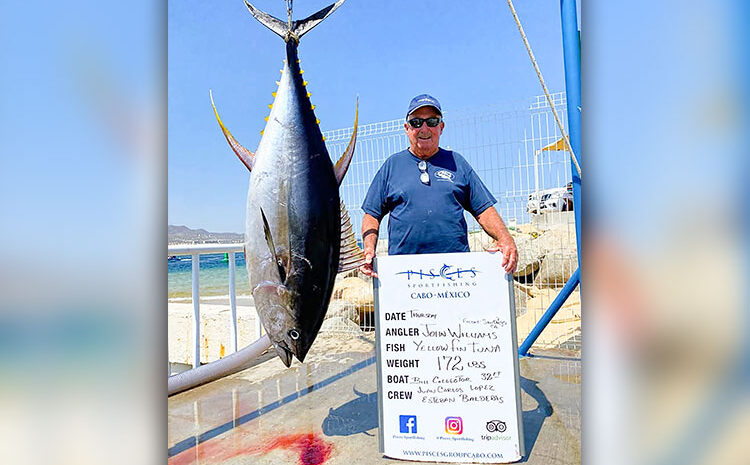 Fish Report