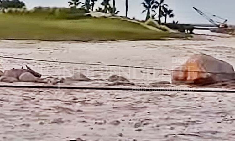 Costa Palmas Golf Course in Good Shape