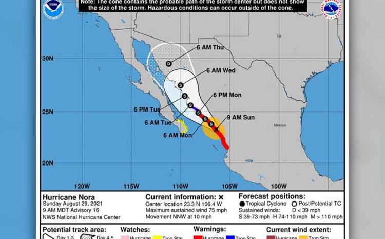 We Dodged Hurricane Nora!