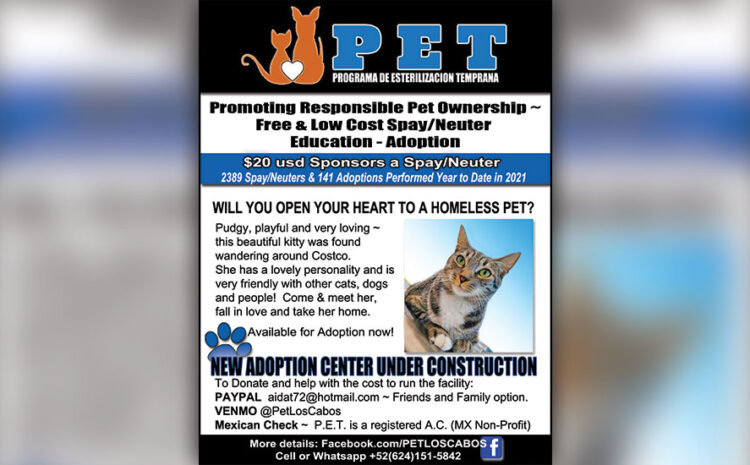 Spay and Neuter Becomes Mandatory