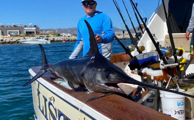 How Important is Sportfishing for Cabo?