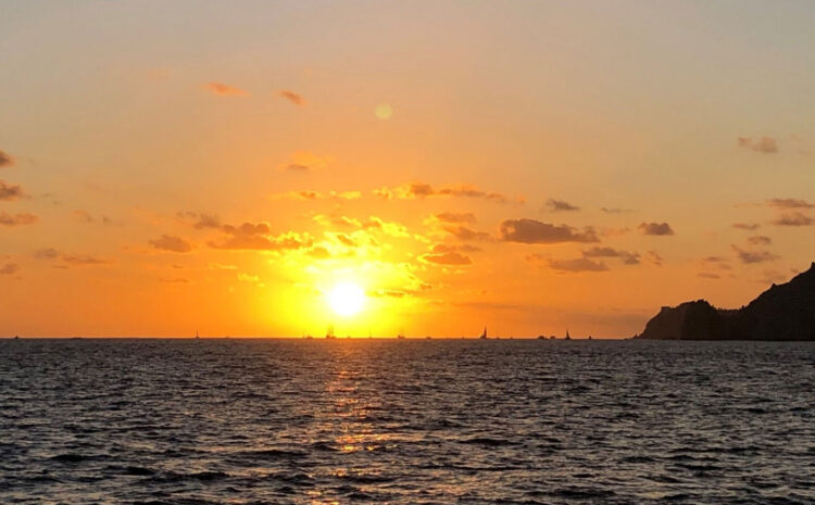 Los Cabos Might Have its Best Season This Year