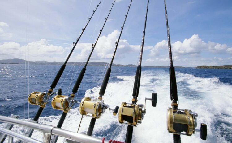 Millions for Cabo During Tournament Season