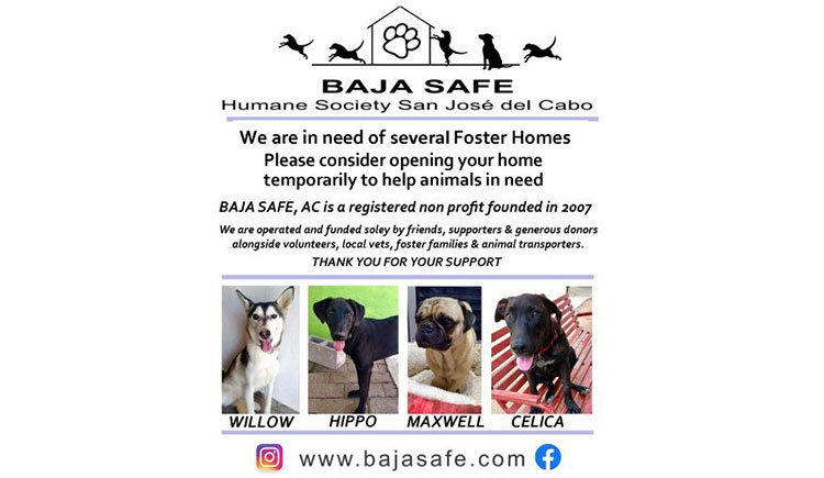Would You Open Your Home to Help?