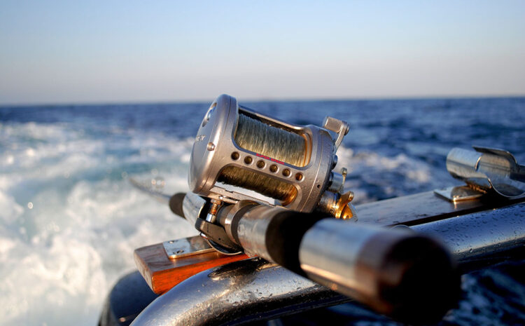 The Fishing Tournaments Have Begun!