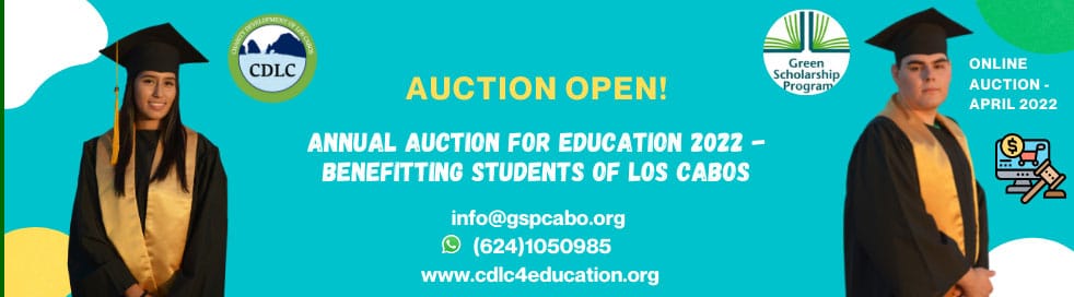 Auction - Gringo Gazette