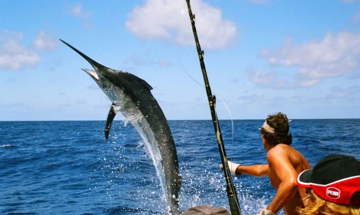 Marlin-caught - Gringo Gazette