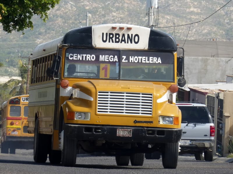Public-bus - Gringo Gazette