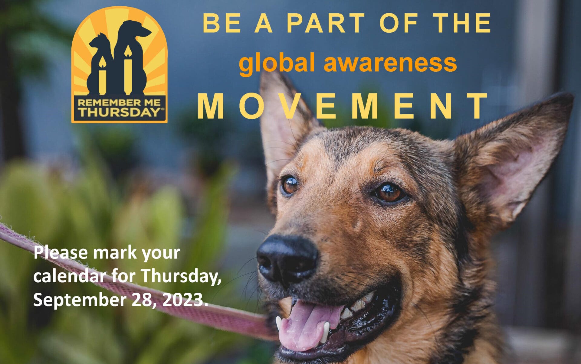 Remember-me-Thursday-e1695328733866 - Gringo Gazette