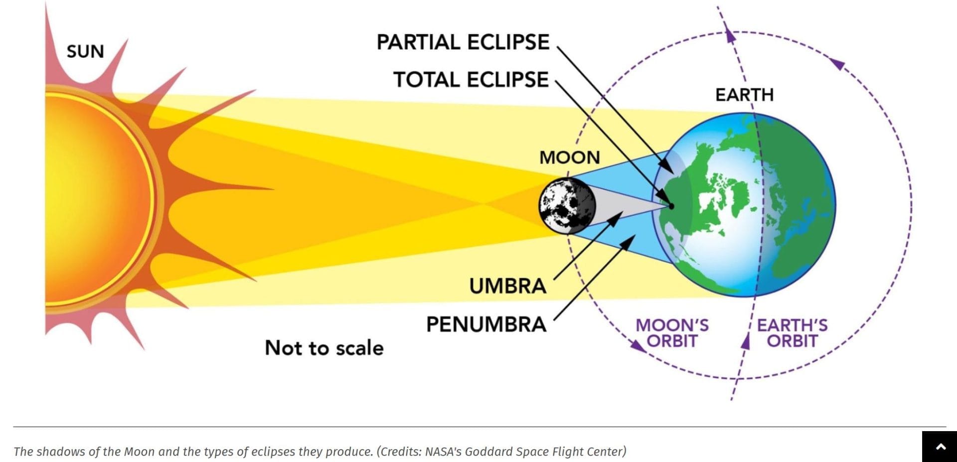 Solar-eclipse - Gringo Gazette