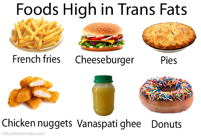 Trans-Fats - Gringo Gazette