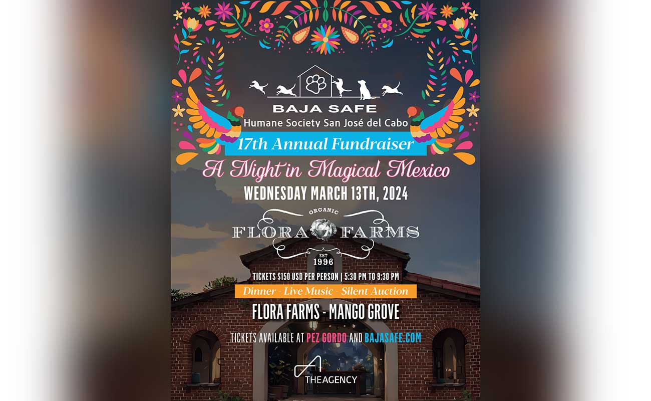 bajaSafeHorizontal - Gringo Gazette