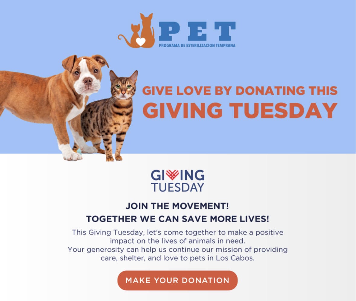 ernest-hemingway-cke-002 - Gringo Gazette