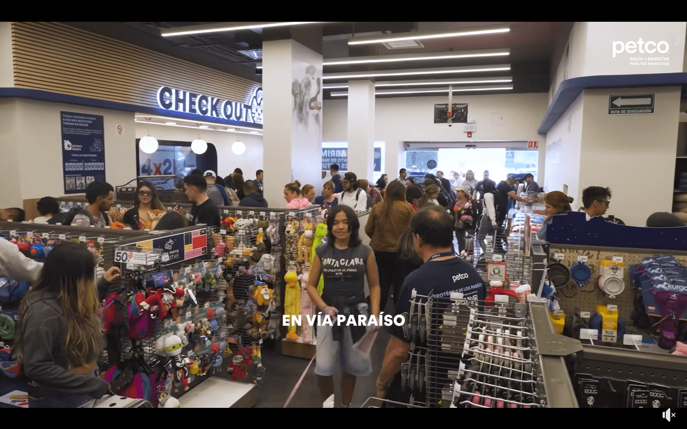 petco - Gringo Gazette