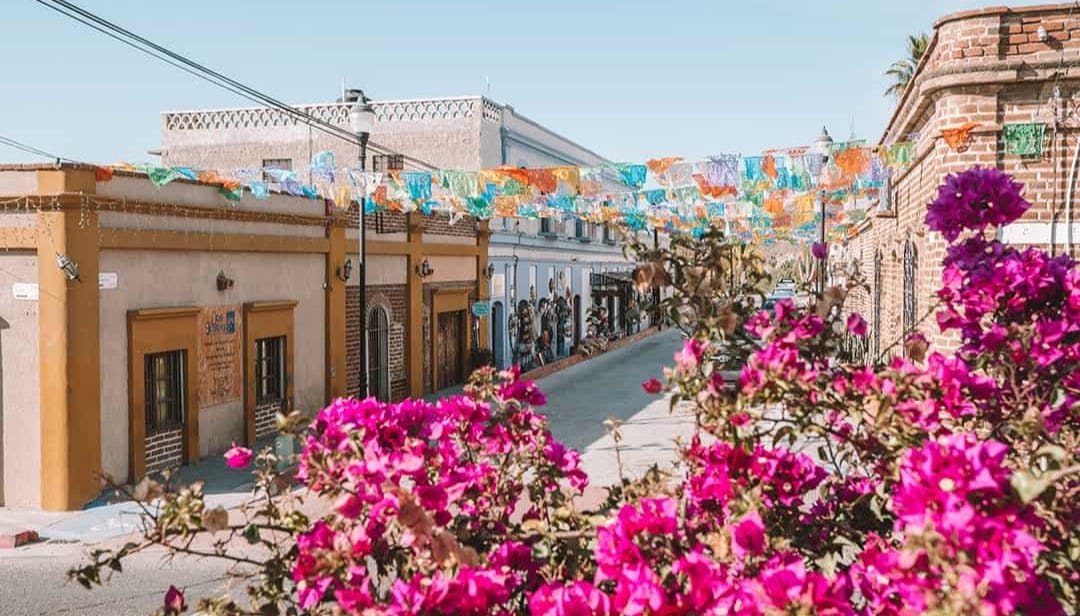 todos-1 - Gringo Gazette