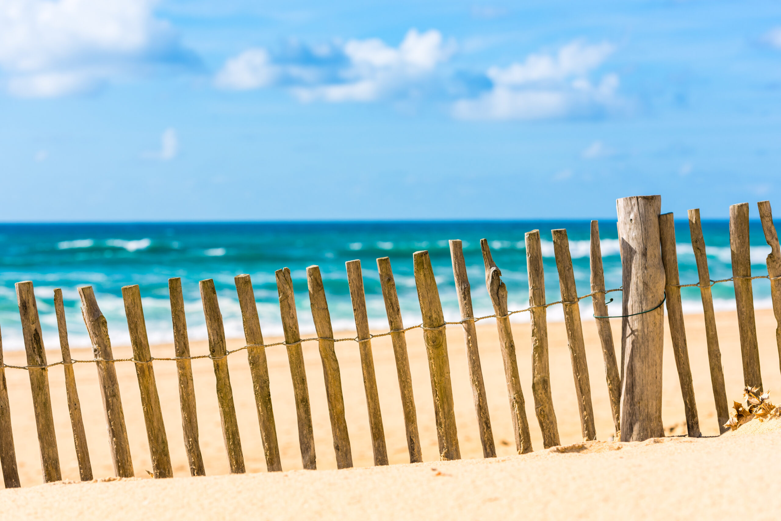Curated visual reference: Picture Idea: No More Private Beaches