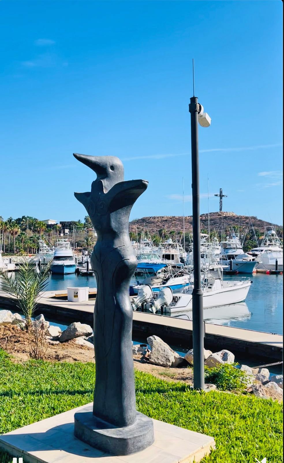 Fantastic-world-class-pic - Gringo Gazette