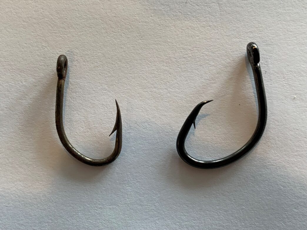 Fish-conservation-pic-scaled - Gringo Gazette