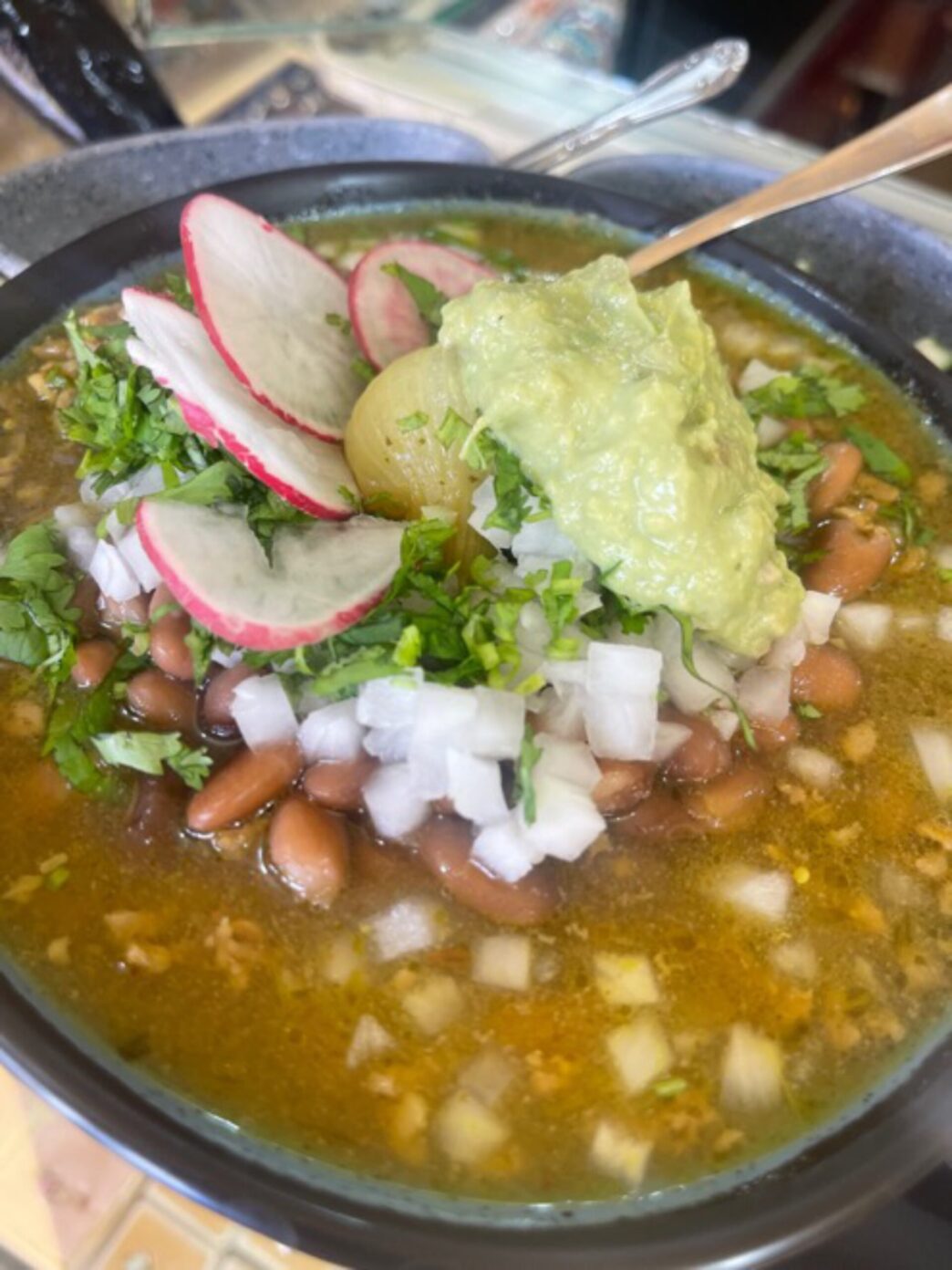 Stroll-with-Suzie.1-scaled - Gringo Gazette