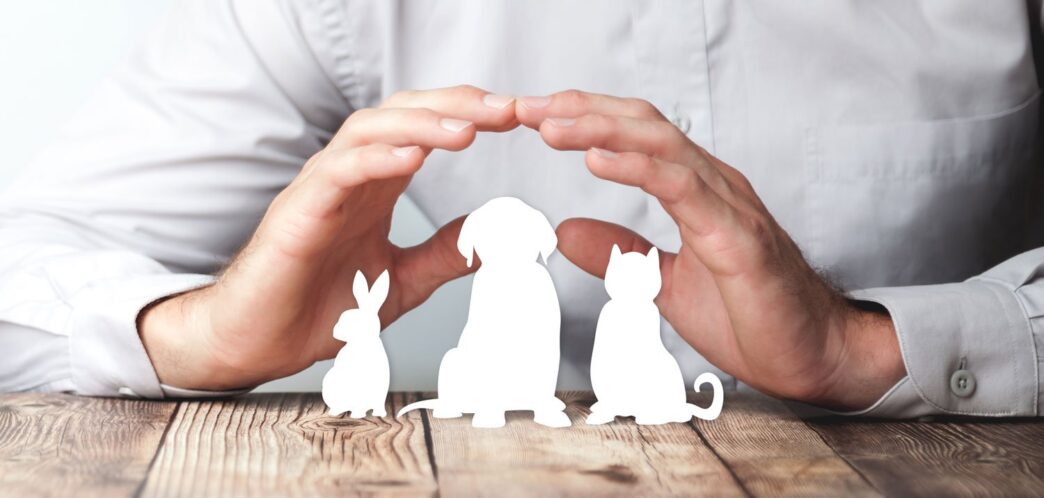 humaneSociety - Gringo Gazette