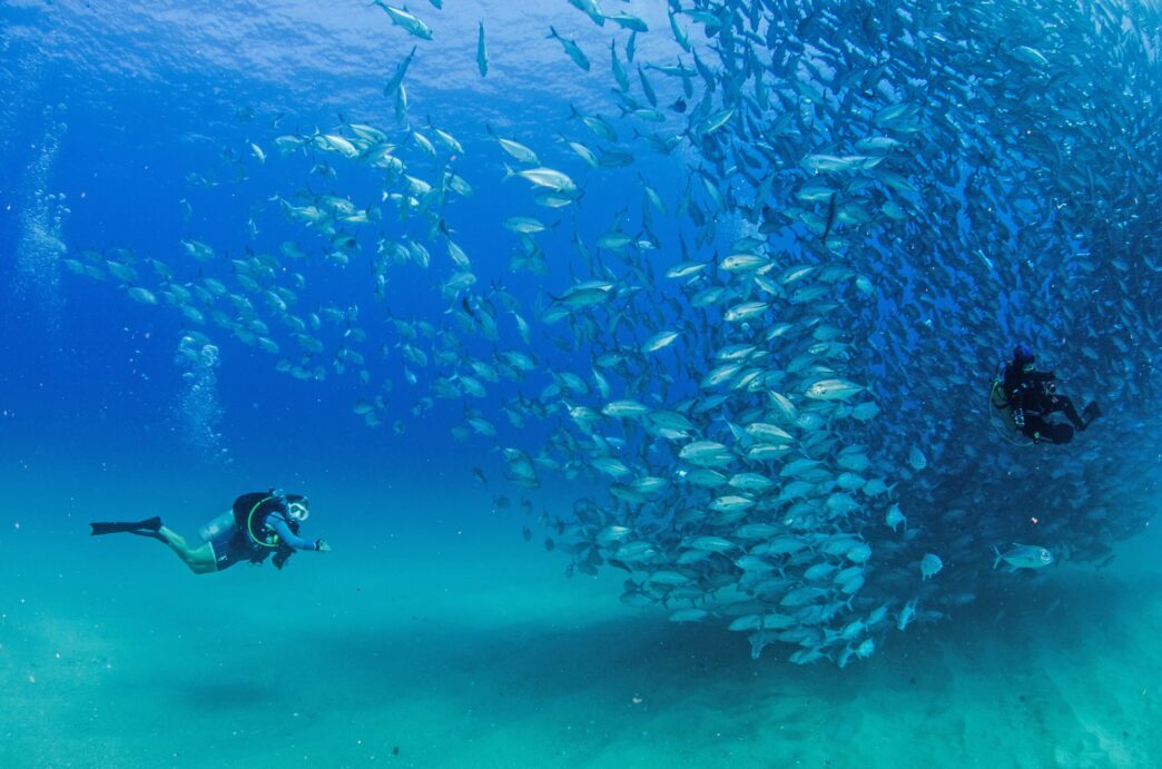 shutterstock_1278502912-scaled - Gringo Gazette