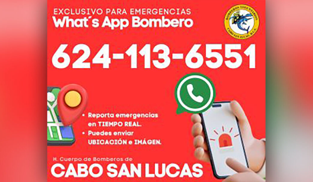 whats - Gringo Gazette