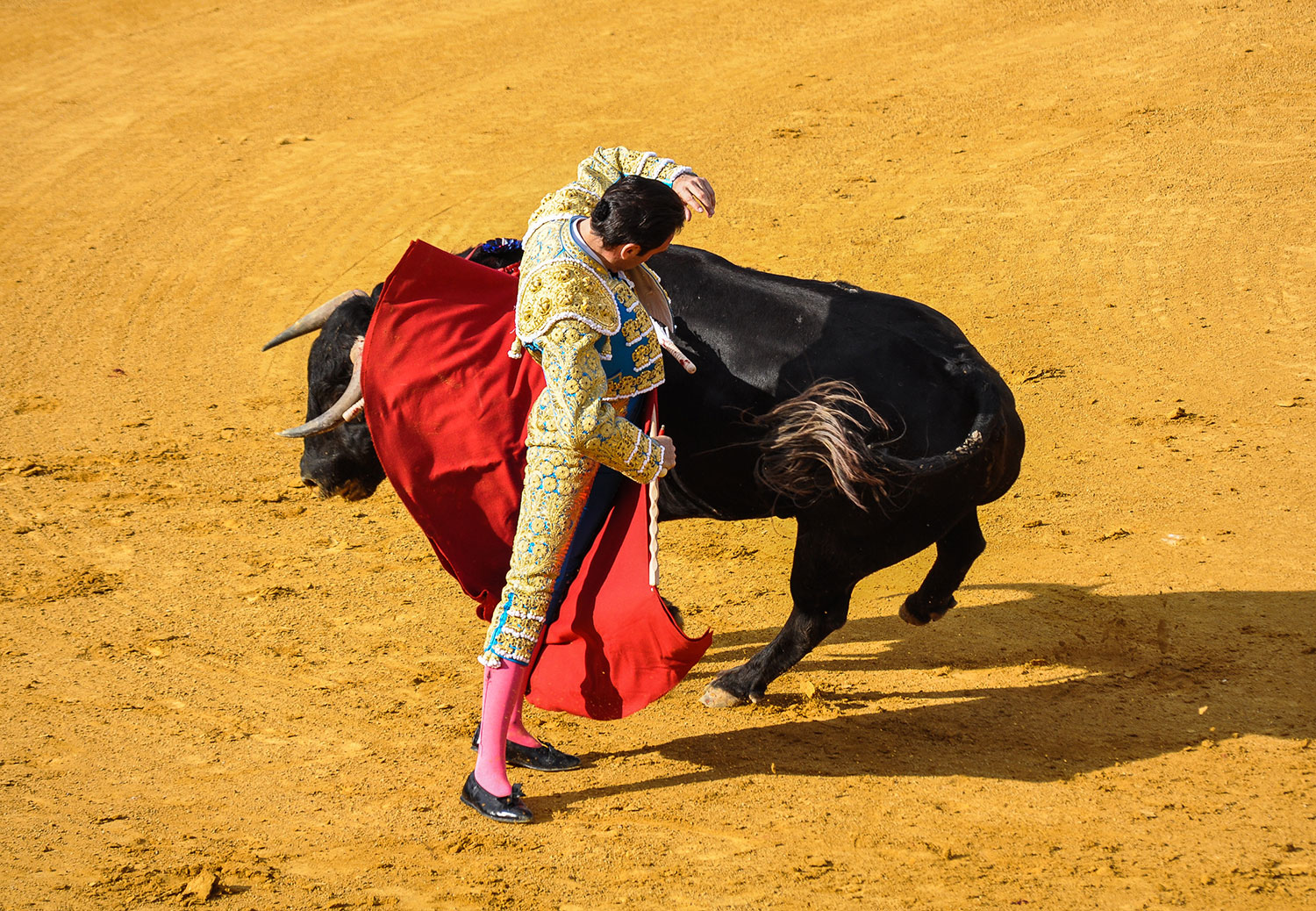 A complete transformation of bullfighting in Mexico City - Gringo Gazette