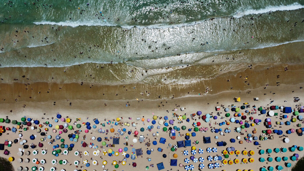 AdobeStock_1173823563 - Gringo Gazette