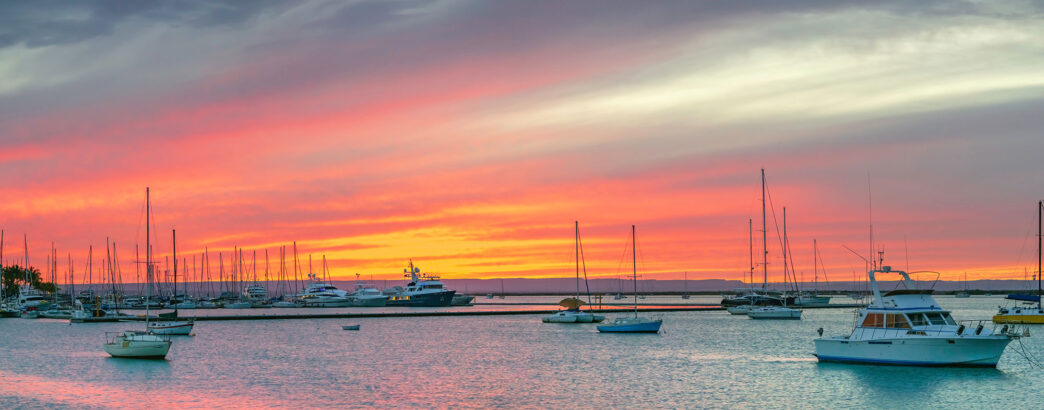 AdobeStock_250503236 - Gringo Gazette