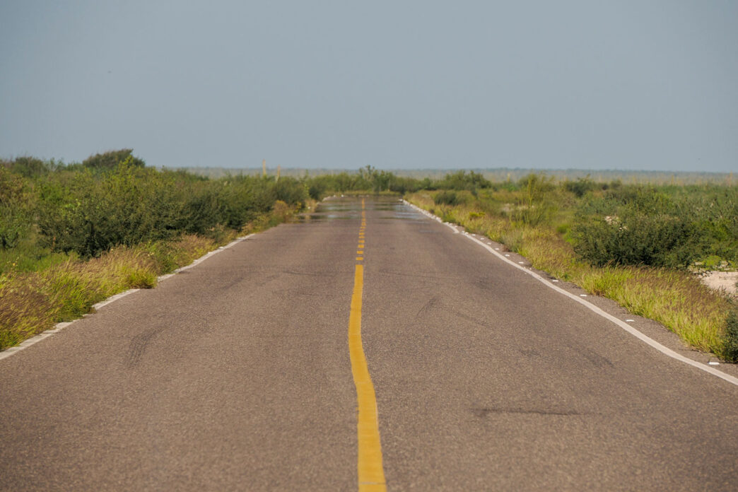 AdobeStock_686295784 - Gringo Gazette