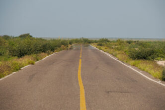 AdobeStock_686295784 - Gringo Gazette