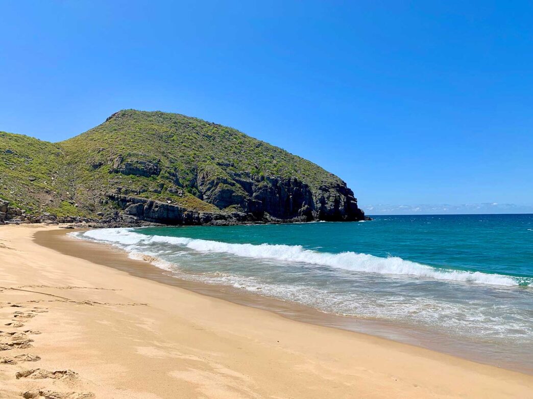 AdobeStock_809159581 - Gringo Gazette