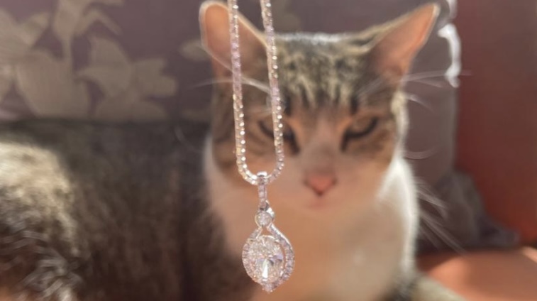 IMG_0110 - Gringo Gazette