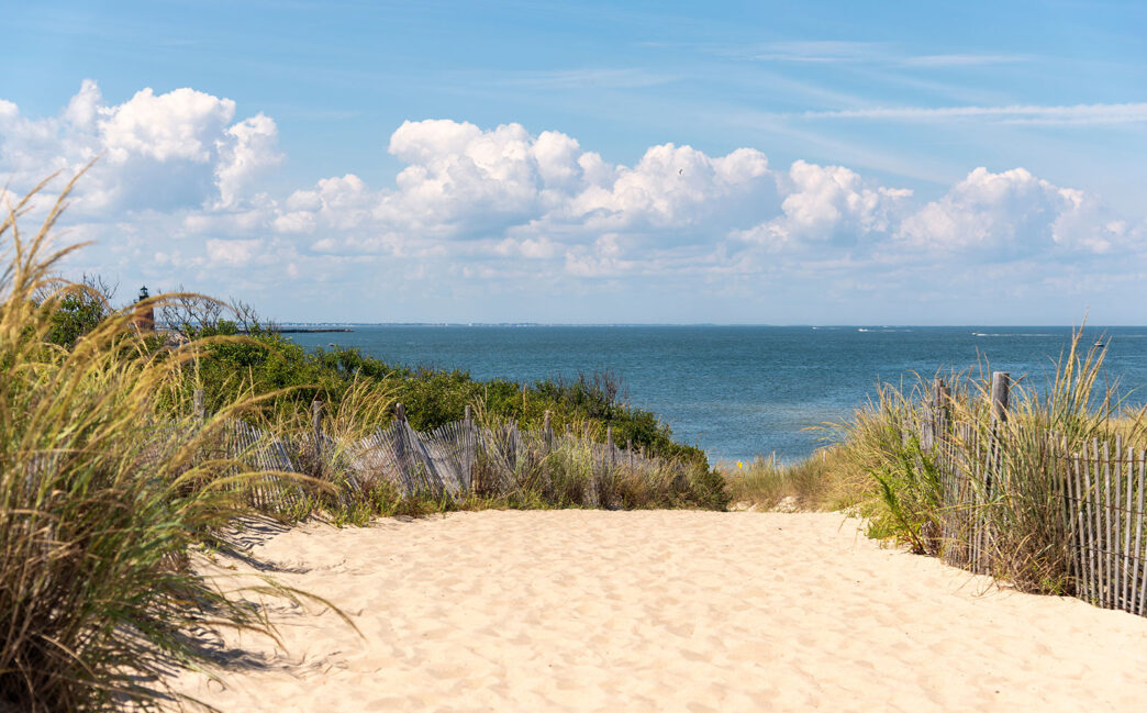 AdobeStock_1132734524 - Gringo Gazette