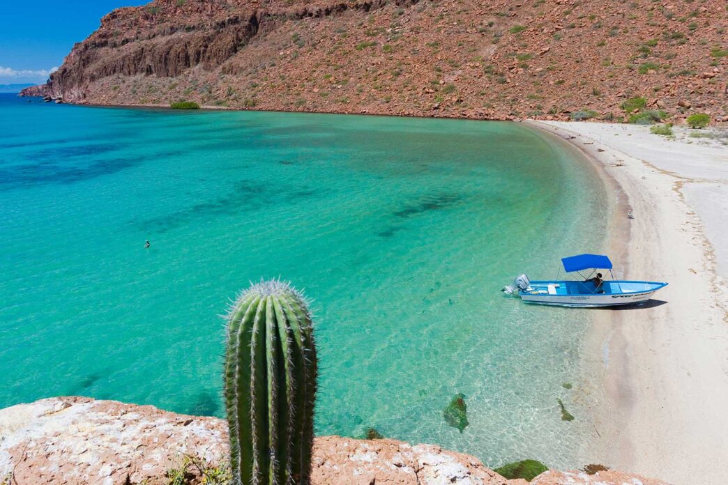 AdobeStock_526410851 - Gringo Gazette