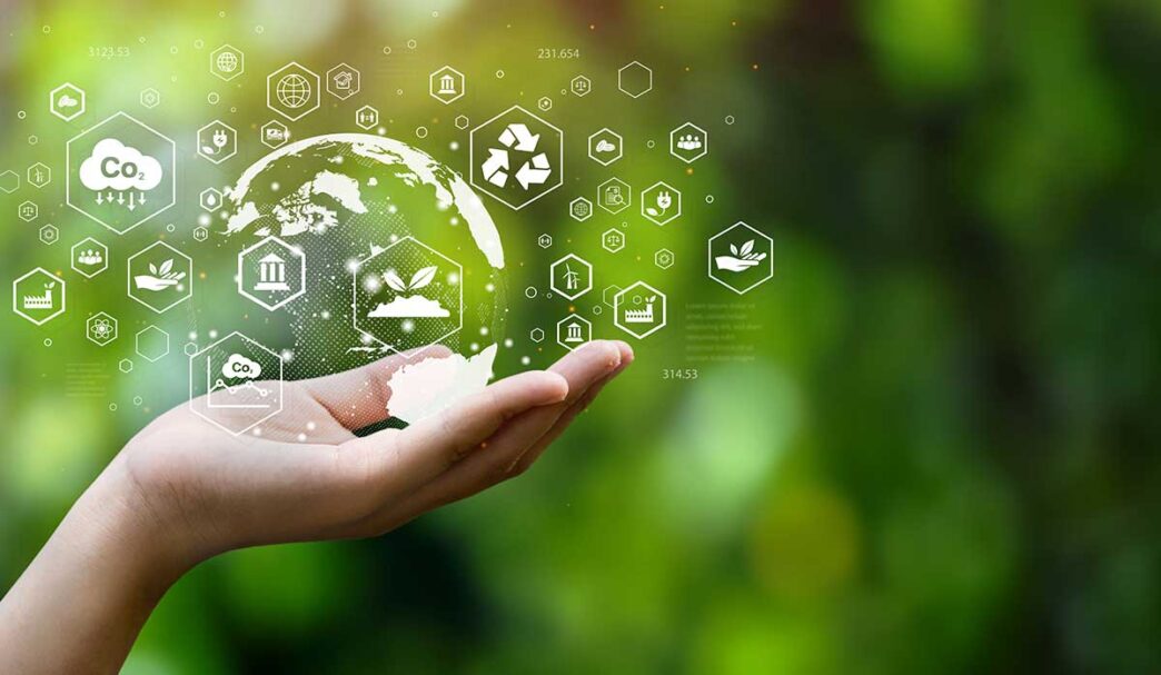 sustainability - Gringo Gazette