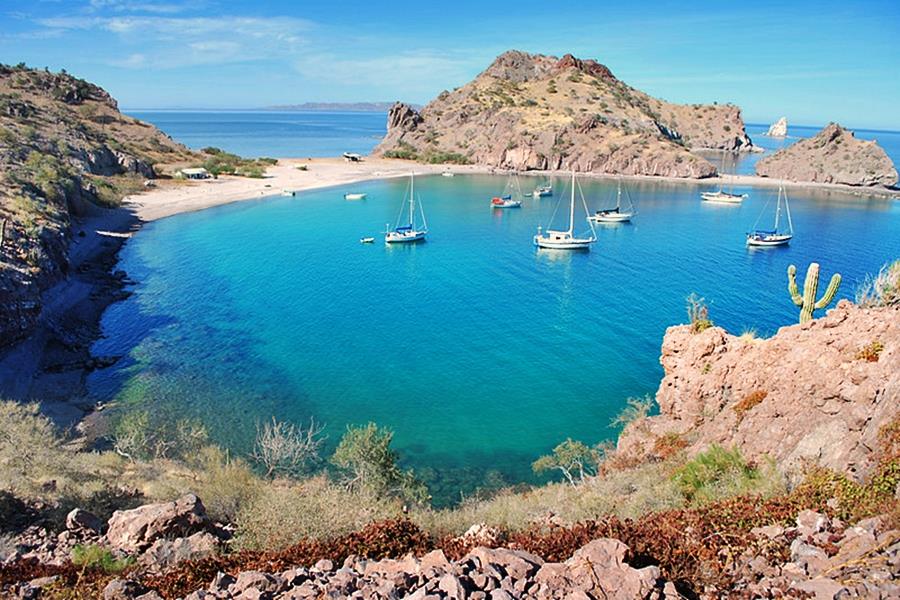 Agua verde Loreto - Gringo Gazette