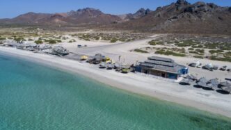 Playa_El_Tecolote_3_c9eac80c-9407-40e0-963e-ebc6fca5317e - Gringo Gazette