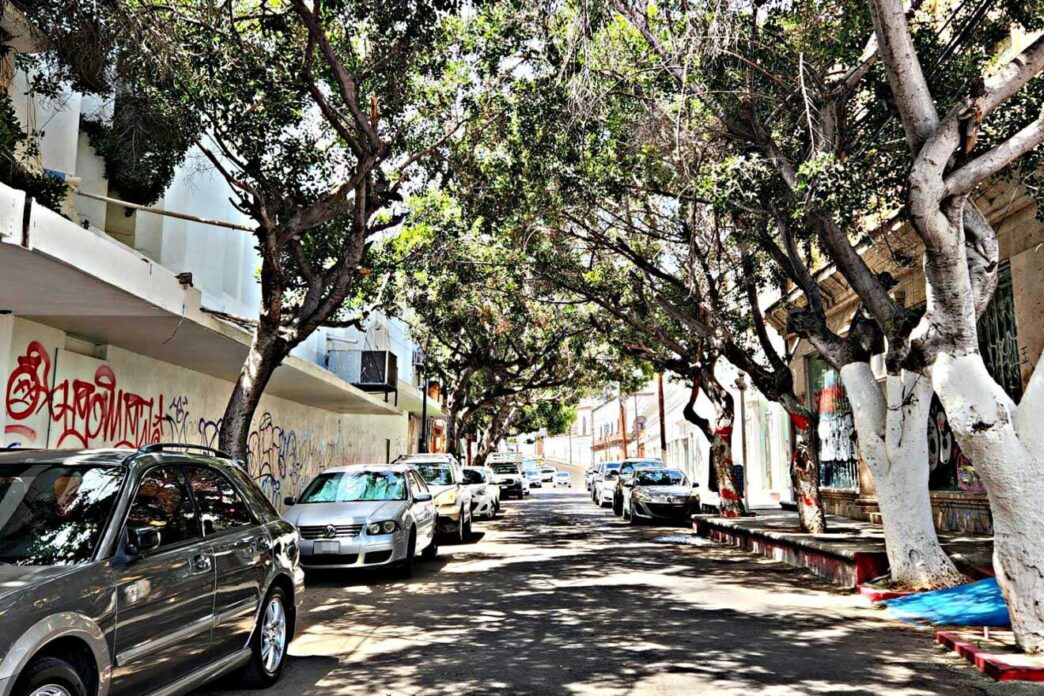 calle-ignacio-zaragoza-La-Paz-centro-historico-1-1320x880 - Gringo Gazette