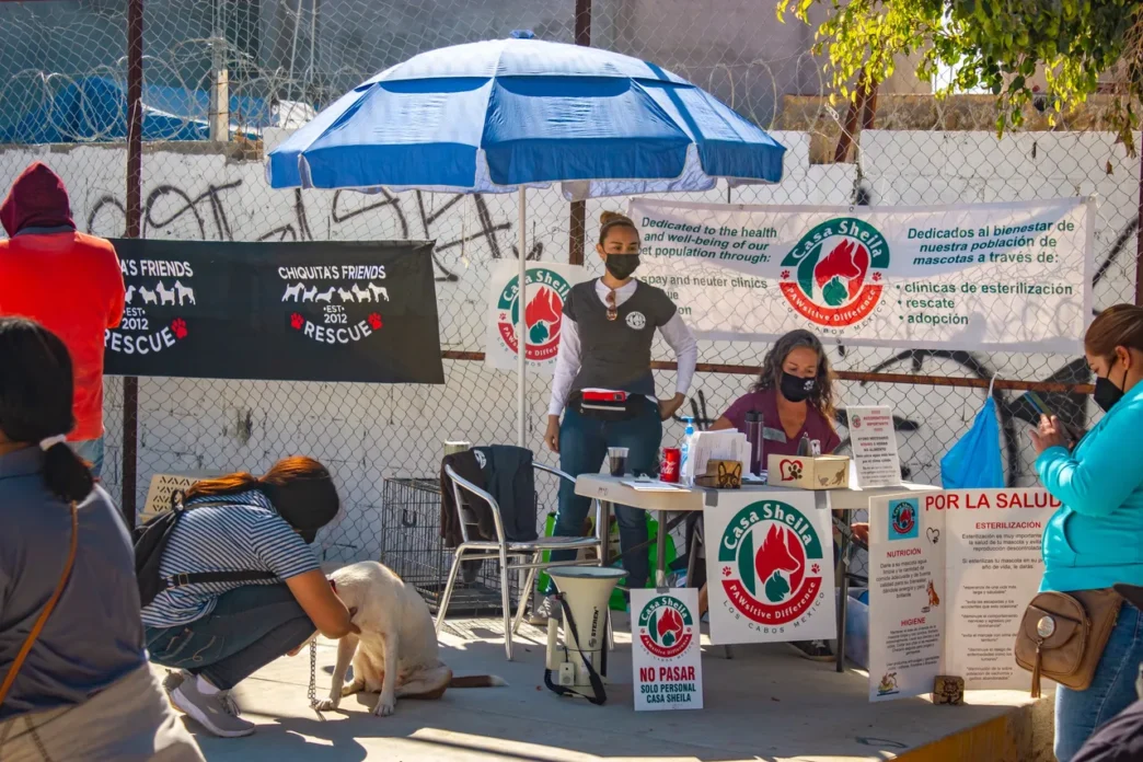 casaSheila - Gringo Gazette